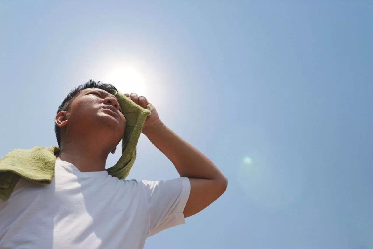 Réchauffement climatique : quand la chaleur frappe davantage les jeunes