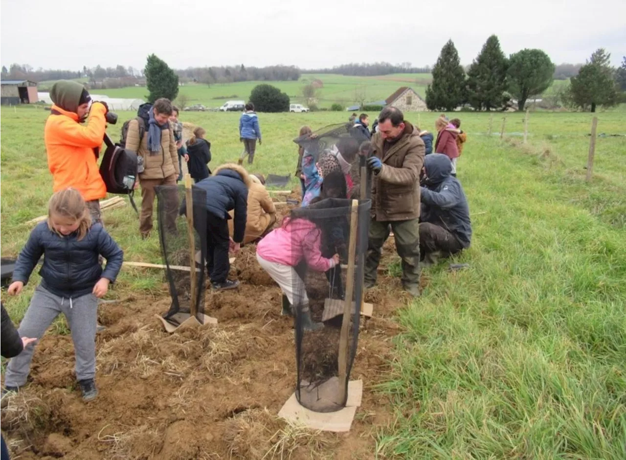 Saint-Médard-d’Excideuil : écoliers et chasseurs plantent des haies pour favoriser la biodiversité