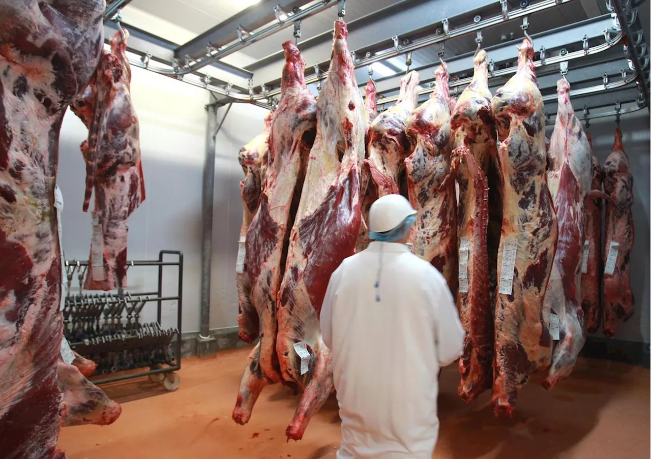 Une journée de défense des abattoirs publics des Pyrénées est organisée à Oloron le 20 décembre