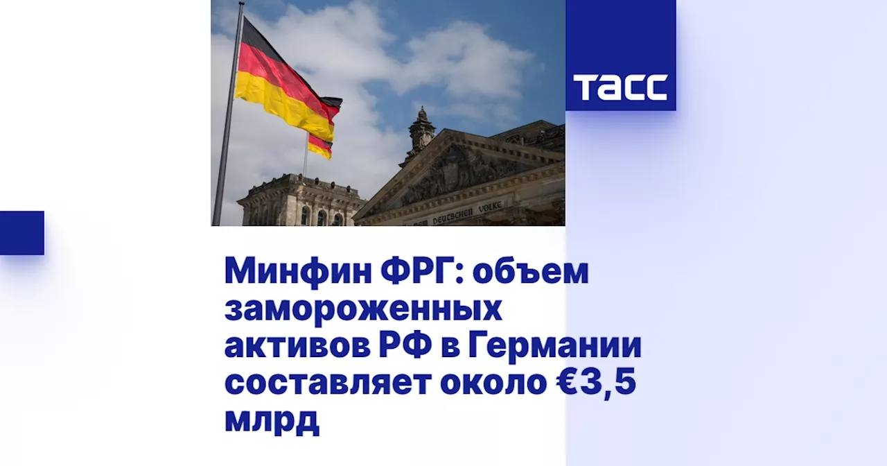 Минфин ФРГ: объем замороженных активов РФ в Германии составляет около €3,5 млрд