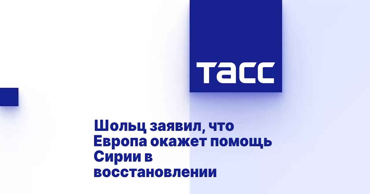 Шольц заявил, что Европа окажет помощь Сирии в восстановлении