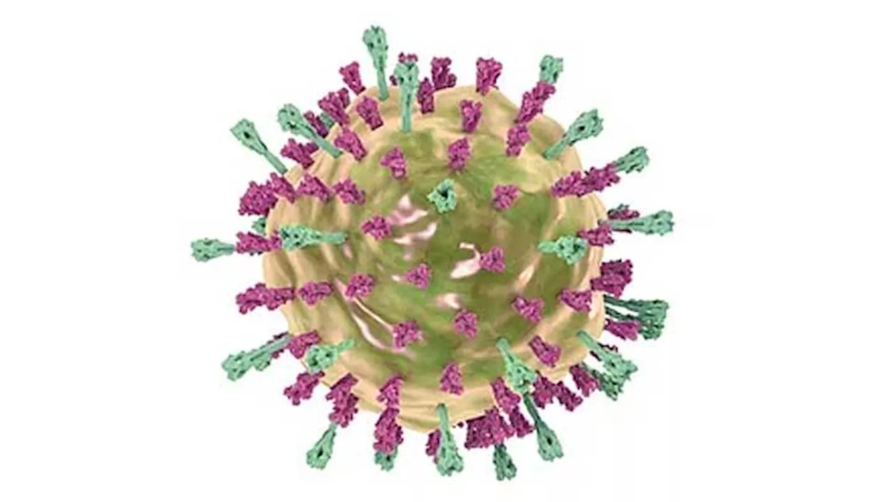 Sejarah Penemuan Virus, Tokoh, dan Ciri-cirinya