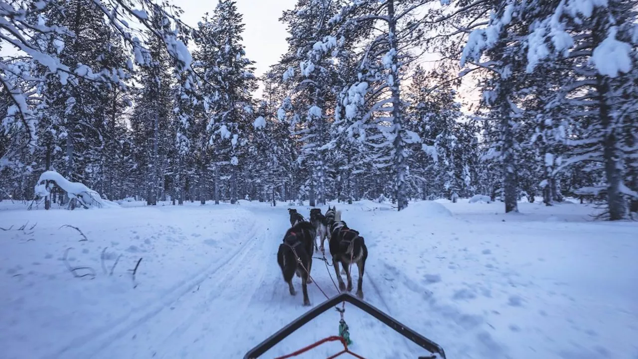 I took my children to Lapland – could it pull them back into believing in Santa?