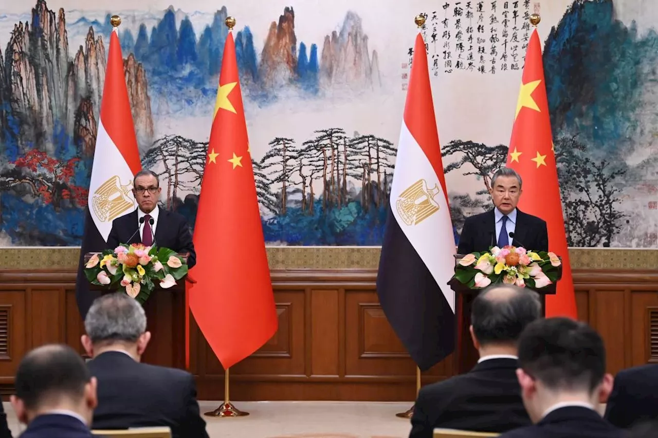 China's FM holds talks with Egyptian counterpart