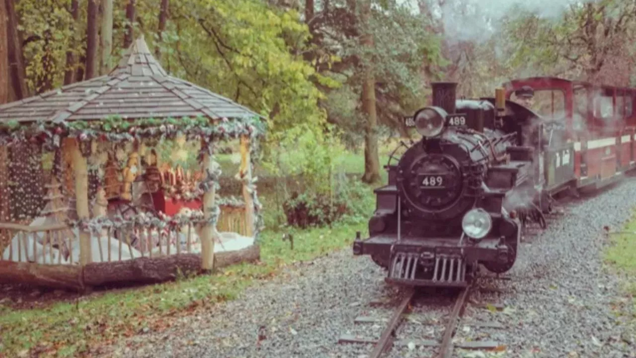 Festive miniature railway ride in the UK has fairy-guided walks, woodland play parks and reindeer keeper...