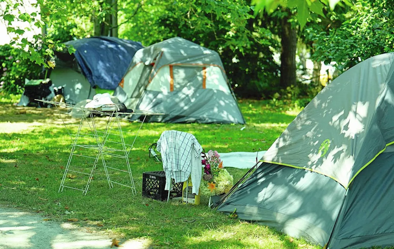 Enforcing sheltering rules on city streets, parks would cost Victoria $4.7 million: report