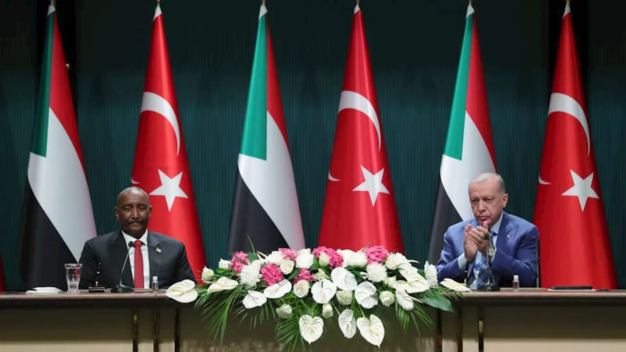 Türkiye ready to step in to mediate between UAE and Sudan — Erdogan