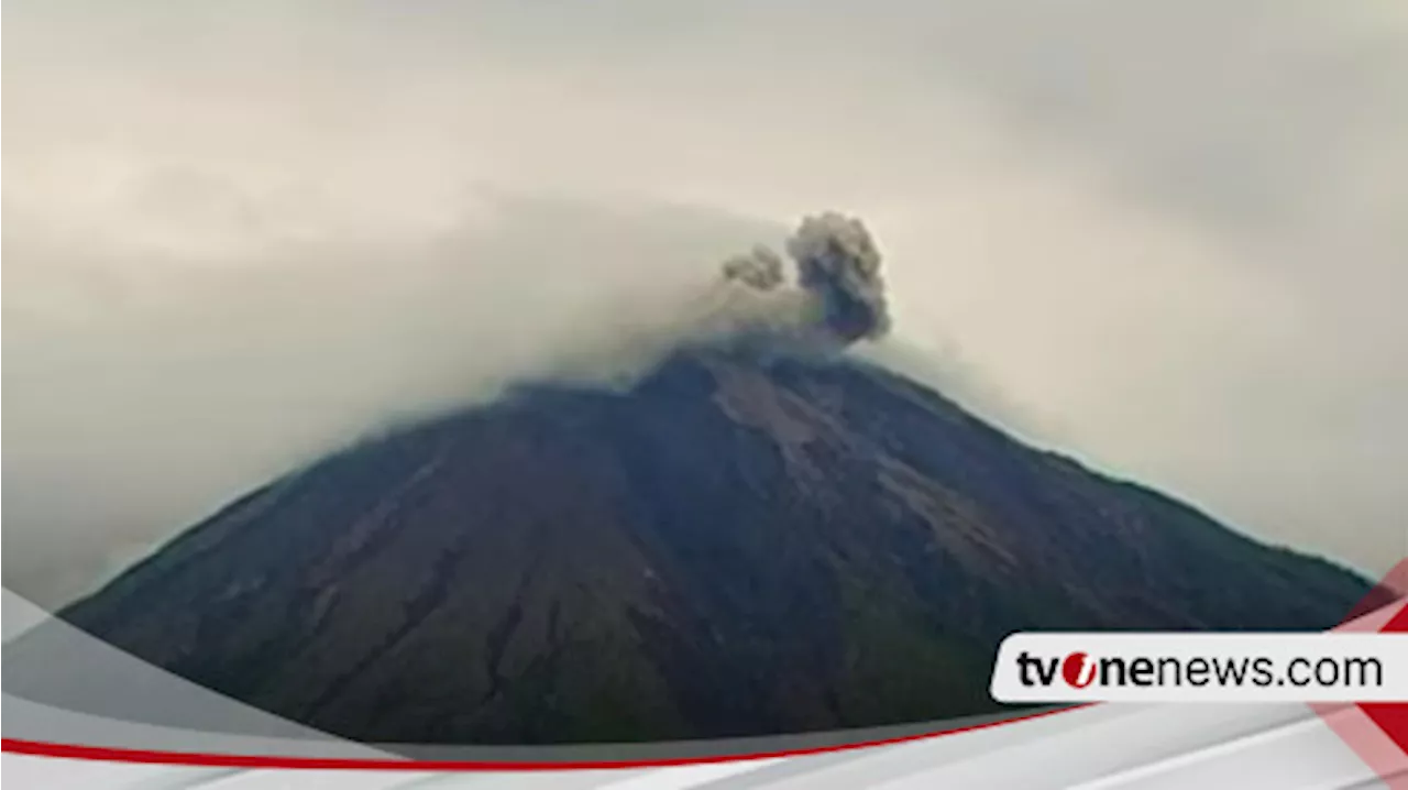 Gunung Semeru Erupsi, Kolom Abu Tebal Setinggi 500 Meter Mengarah ke Timur Laut