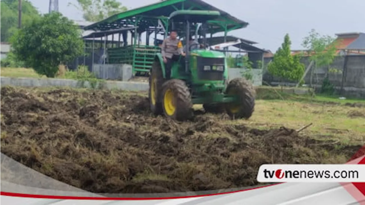 Polisi di Sidoarjo Sulap Lahan Tidur Jadi Produktif dengan Menanam Jagung untuk Ketahanan Pangan