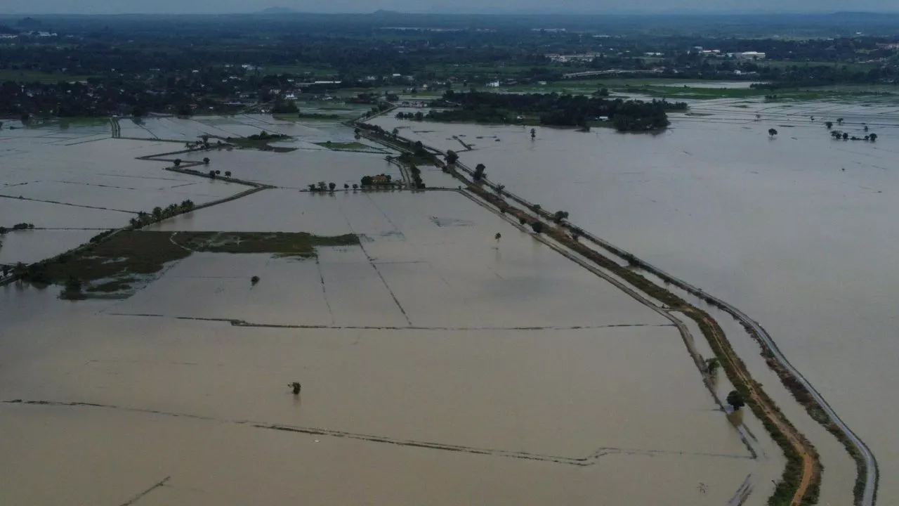 Kerajaan Perlis bantu 628 pesawah rugi tanaman tenggelam