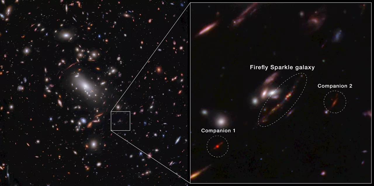 Webb Weighs an Early Twin of the Milky Way