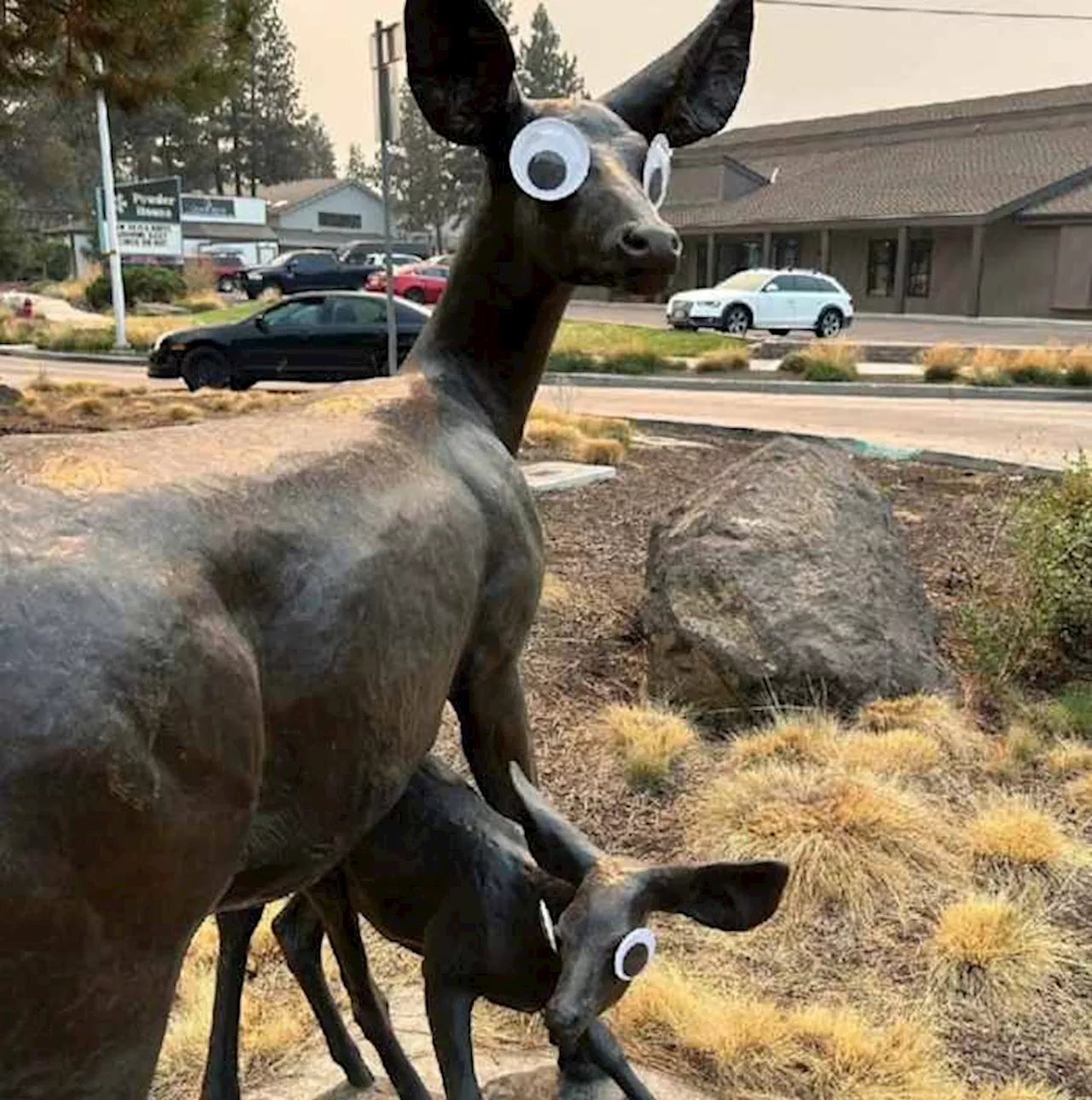 Mysterious googly eyes go viral after appearing on public art in Oregon