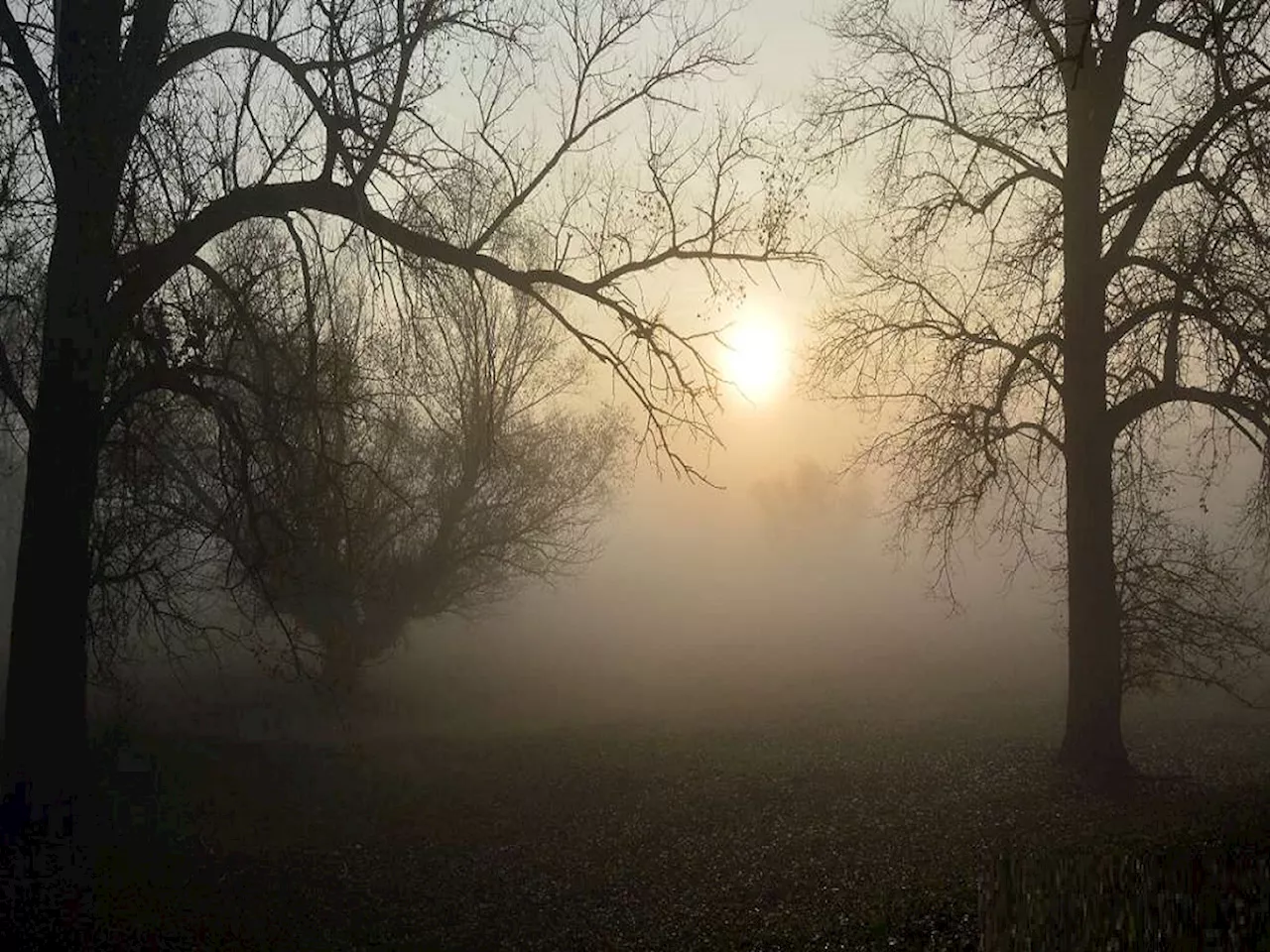 थंडी, ऊन, वारा आणि पाऊस... राज्यात एकाच वेळी सर्व ऋतूंचा अनुभव; कधीपासून वाढणार गारठा?