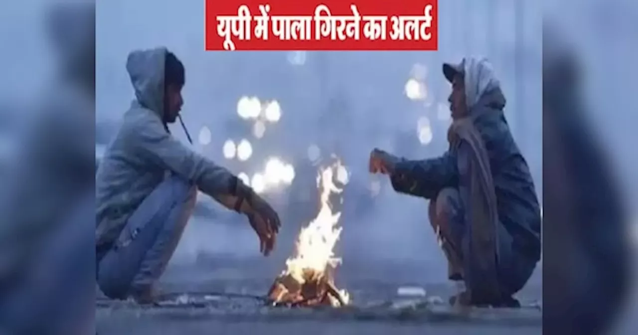 Cold wave alert in UP: यूपी में कड़ाके की ठंड से बढ़ी कंपन, मथुरा,नोएडा-गाजियाबाद समेत 50 से ज्यादा जिलों में शीत लहर का अलर्ट