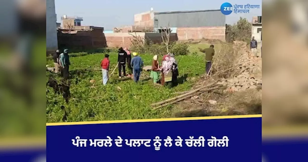 Gurdaspur News: ਜ਼ਮੀਨ ਪਿੱਛੇ ਭਰਾ-ਭਰਾ ਹੋਏ ਖੂਨ ਦੇ ਪਿਆਸੇ, ਚੱਲੀ ਗੋਲੀ