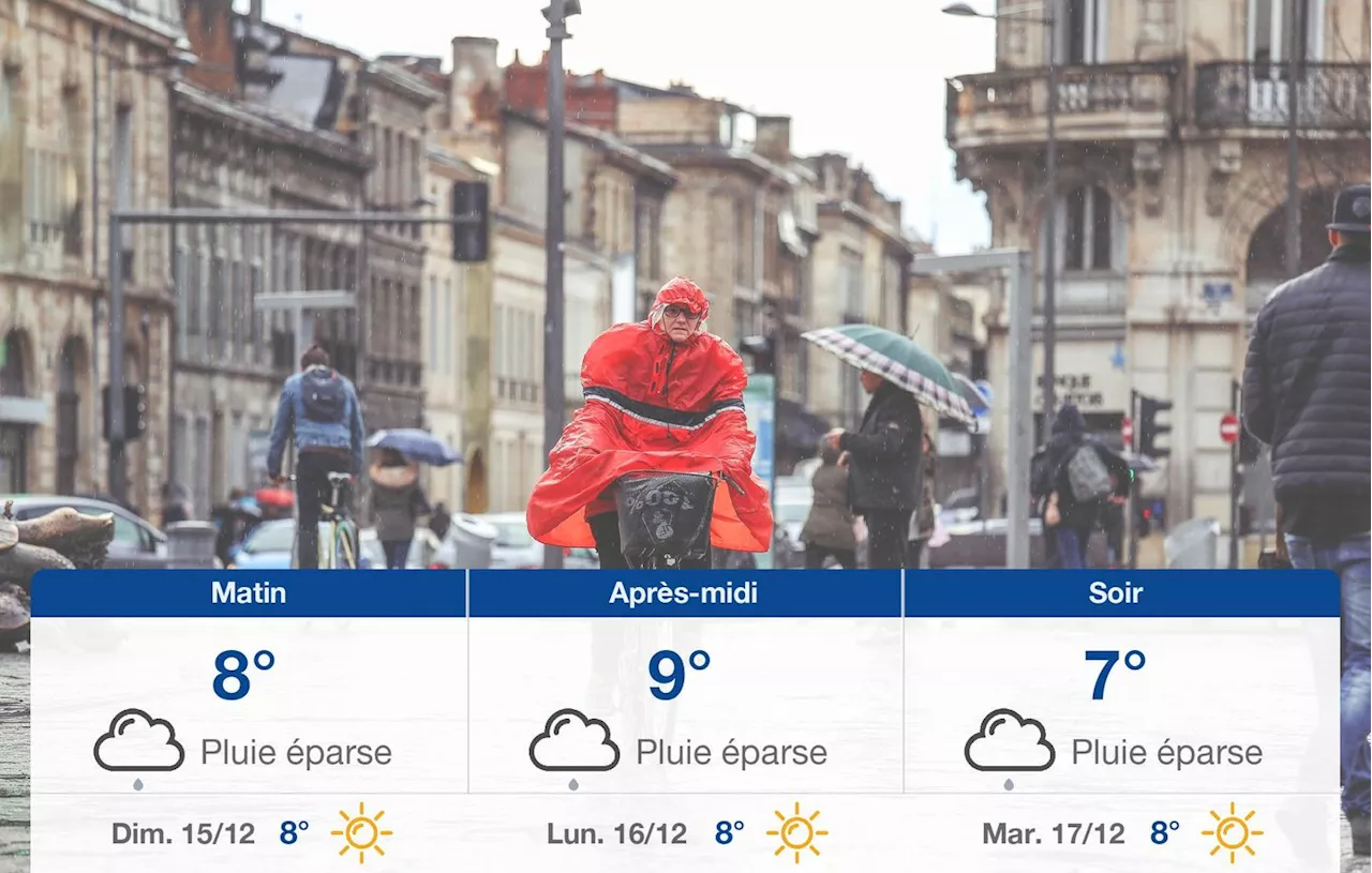 Météo Bordeaux: prévisions du samedi 14 décembre 2024