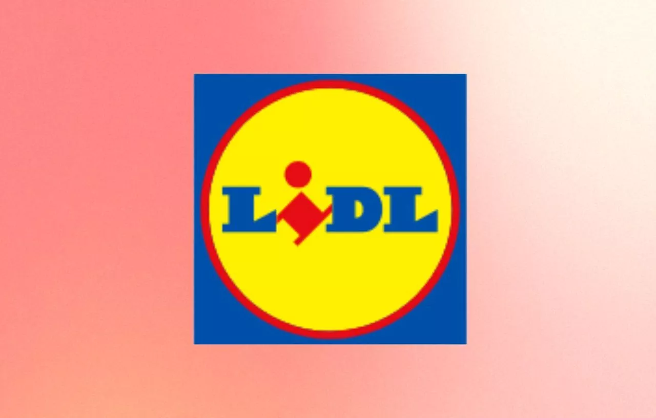 Lidl fait sensation avec ces 3 robots de cuisine ultra performants à prix canon