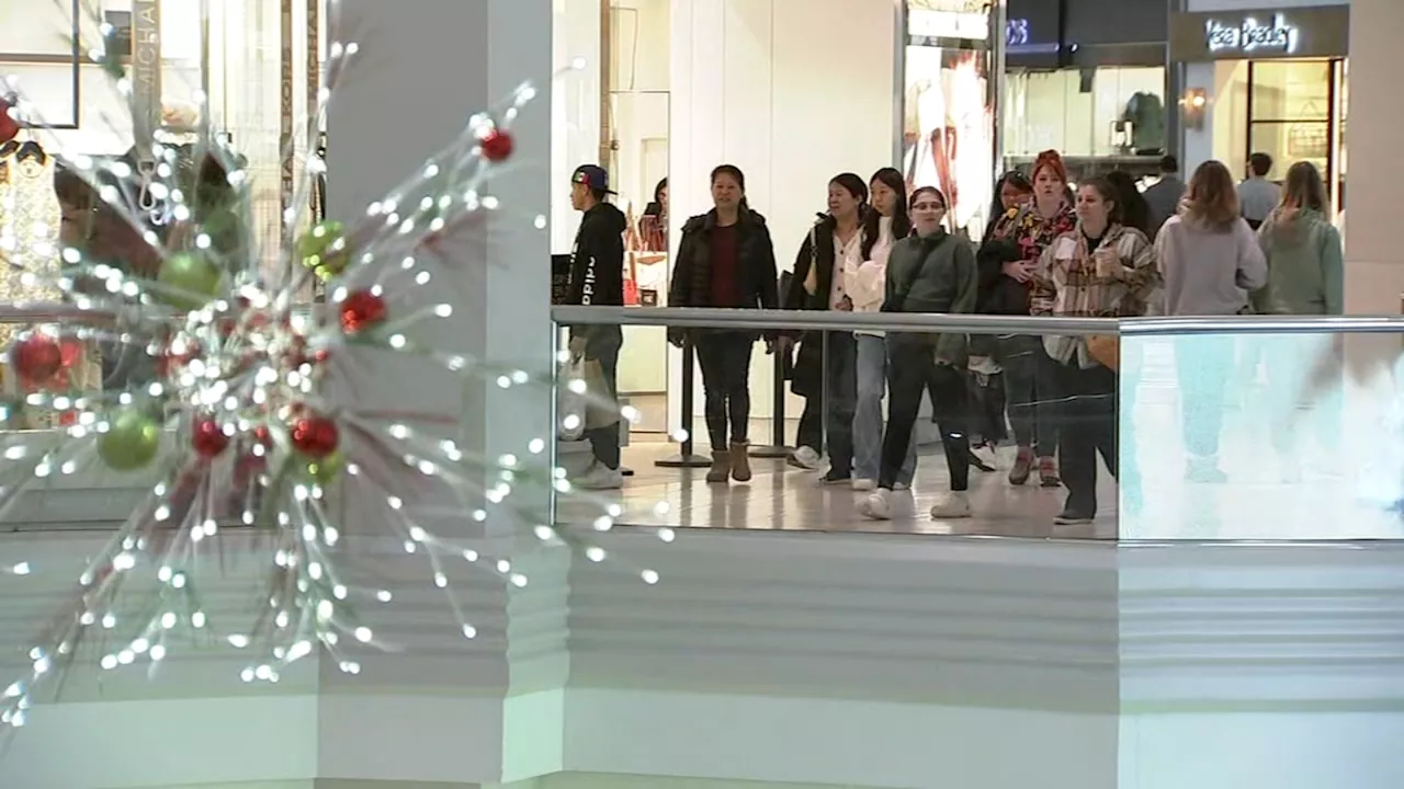 Chicagoans expected to spend more this holiday season, survey finds