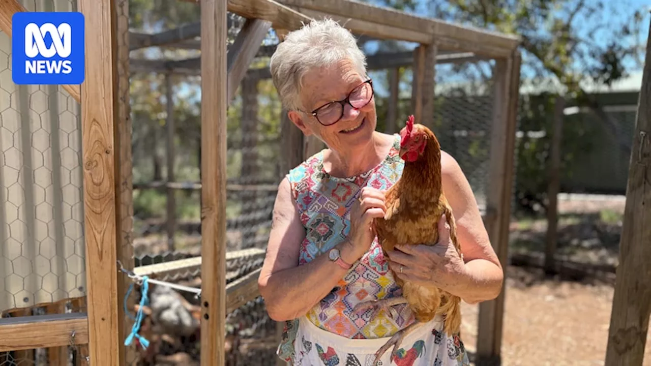 Cluckingham Palace proves research on rewards of owning chickens