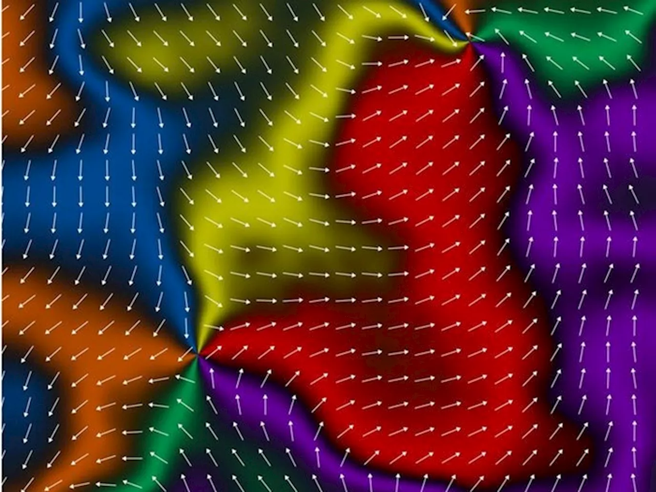 Fotografata una nuova forma di magnetismo