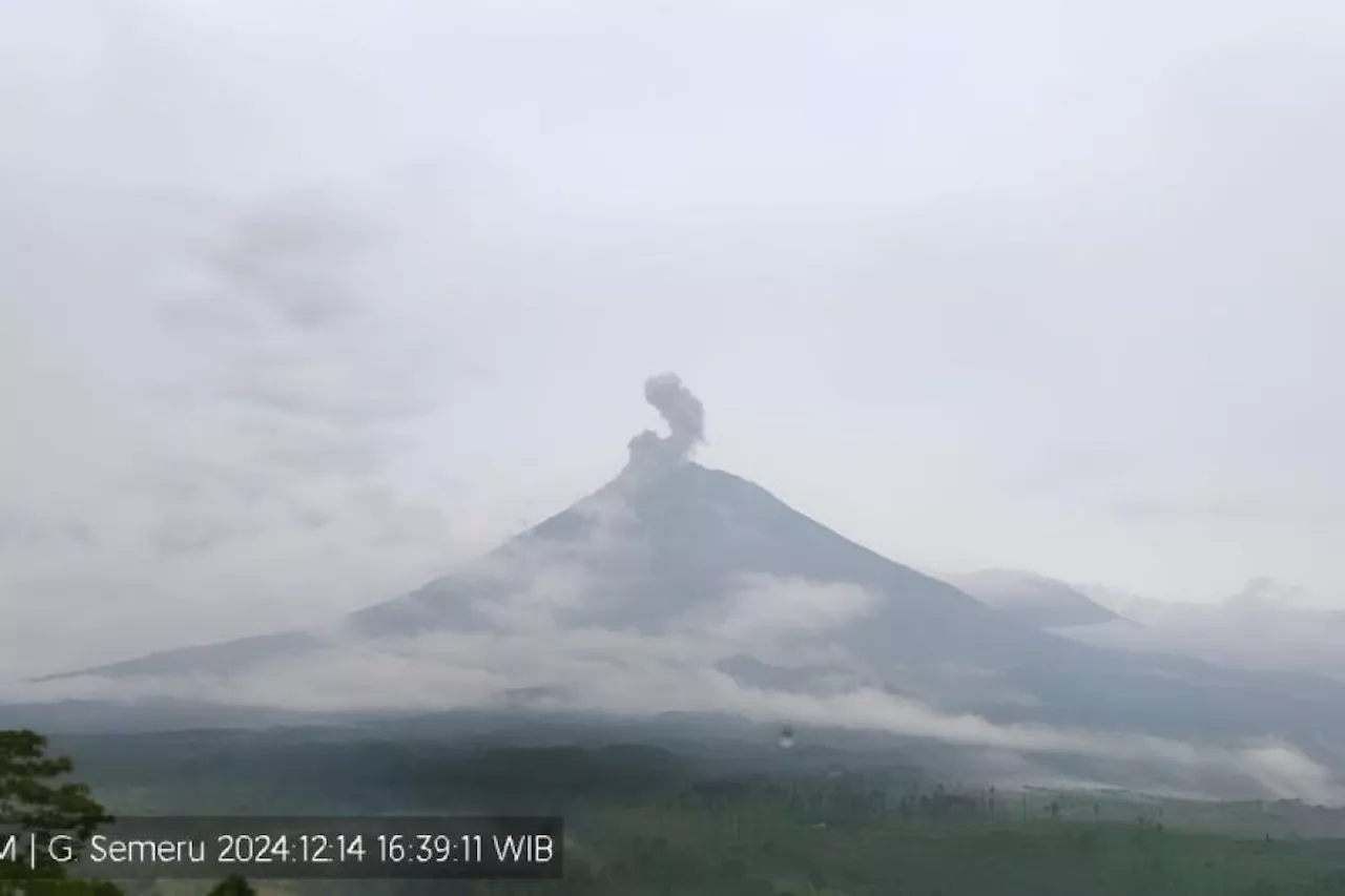 Gunung Semeru kembali erupsi dengan letusan setinggi 900 meter