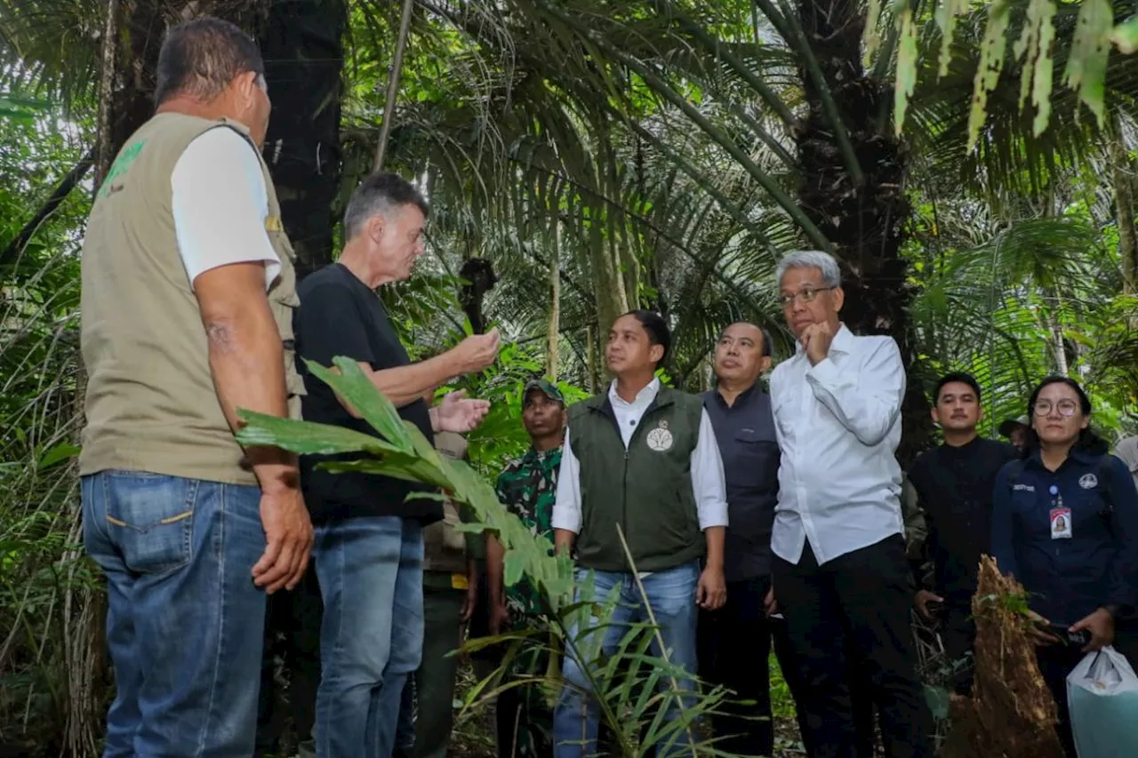 Menhut siapkan kawasan hutan untuk bioethanol dukung swasembada energi