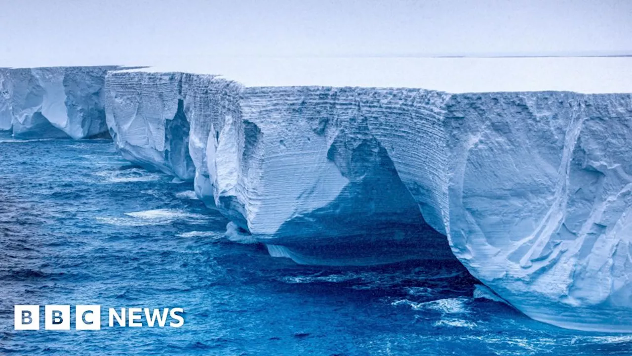 A23a iceberg moving north again after being trapped in vortex