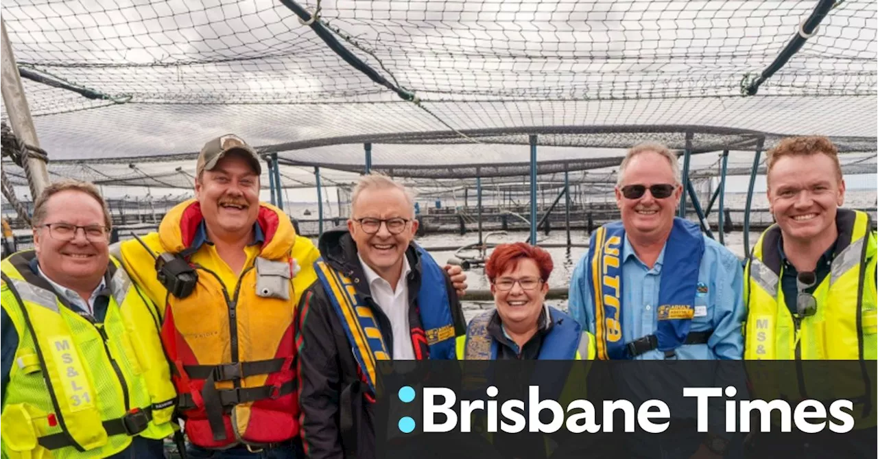 Albanese weighs in again on Plibersek’s portfolio with salmon farming pledge