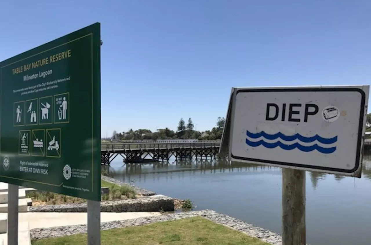 Sewage stench lingers at Milnerton Lagoon