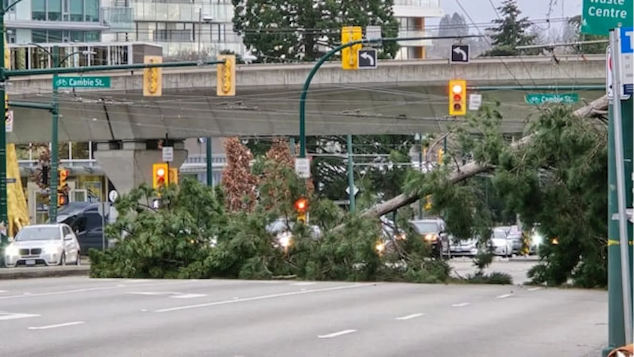 Highways closed, thousands without power as winds batter B.C.'s South Coast