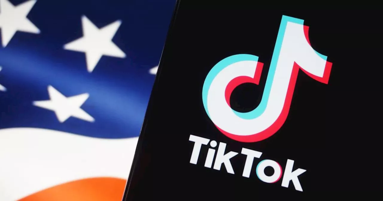 Appeals court denies TikTok's bid to delay ban