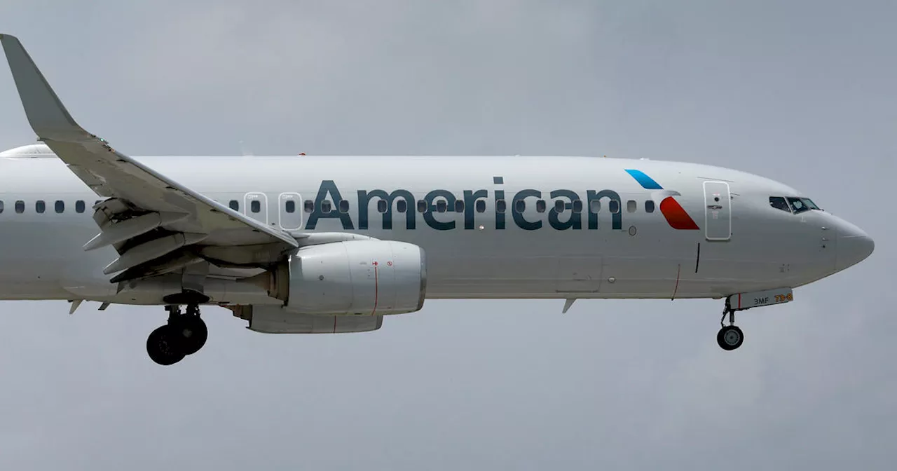 Possible bird strike forces American Airlines jet to make emergency landing at JFK Airport