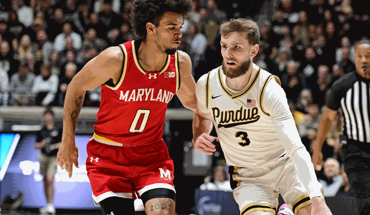 Texas A&M vs Purdue Prediction, Picks, and Odds for Today’s College Basketball Game