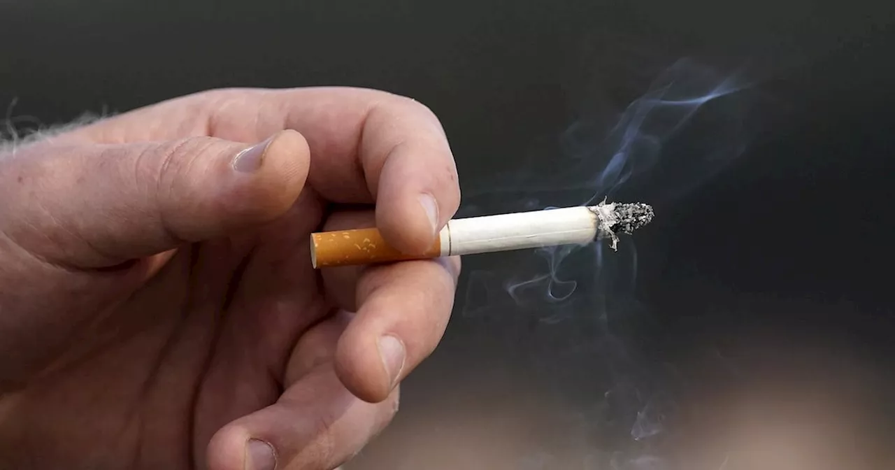 Lawyers in Quebec class actions seek $906M in fees for work in landmark tobacco case