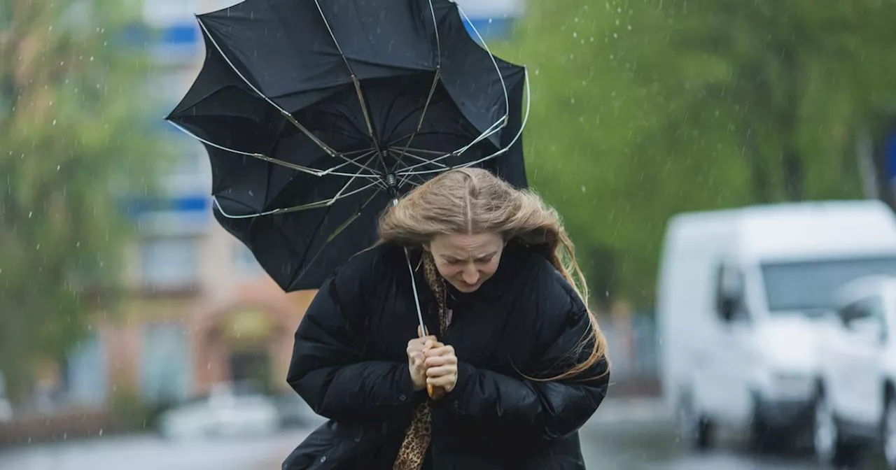 Amazon users rave over 'robust' £11 umbrella that 'withstands British weather'