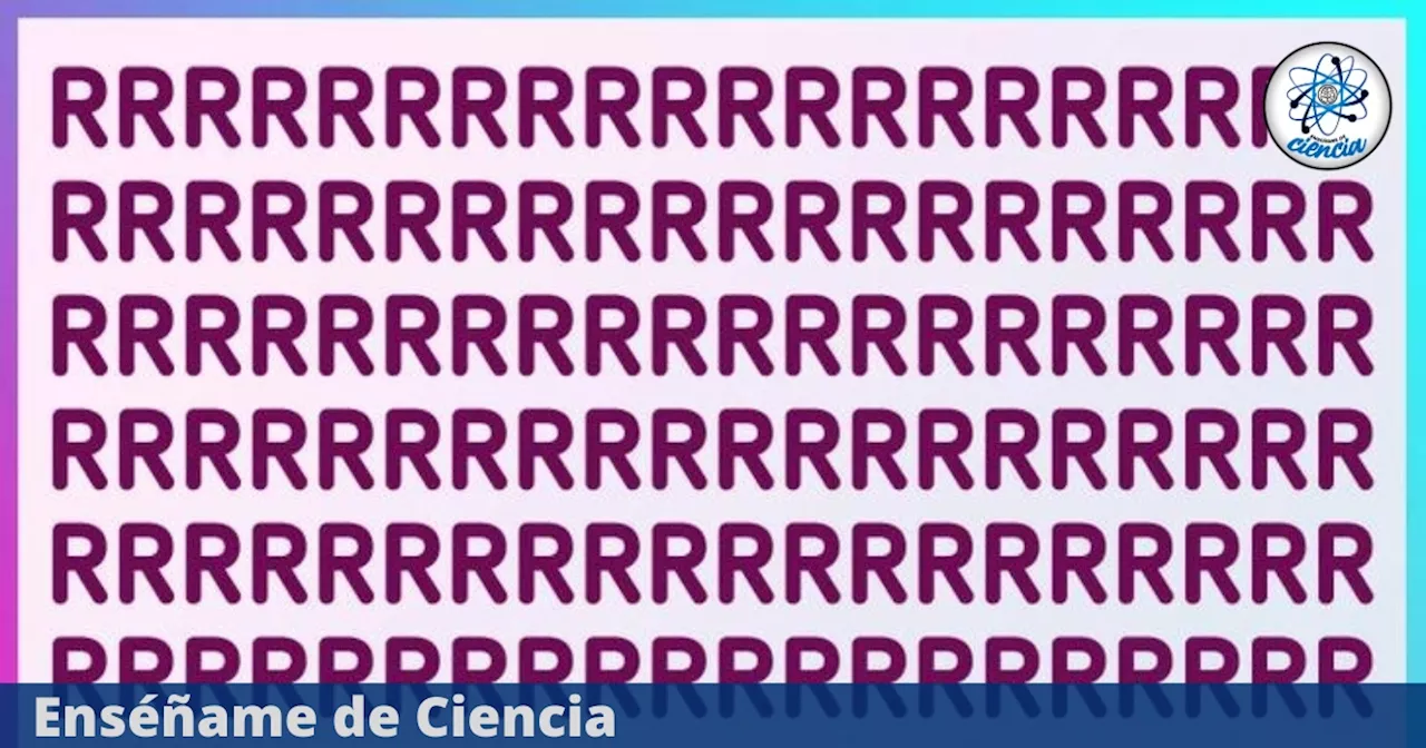 Acertijo en TENDENCIA: Encuentra la letra “P” entre las “R” en tiempo récord