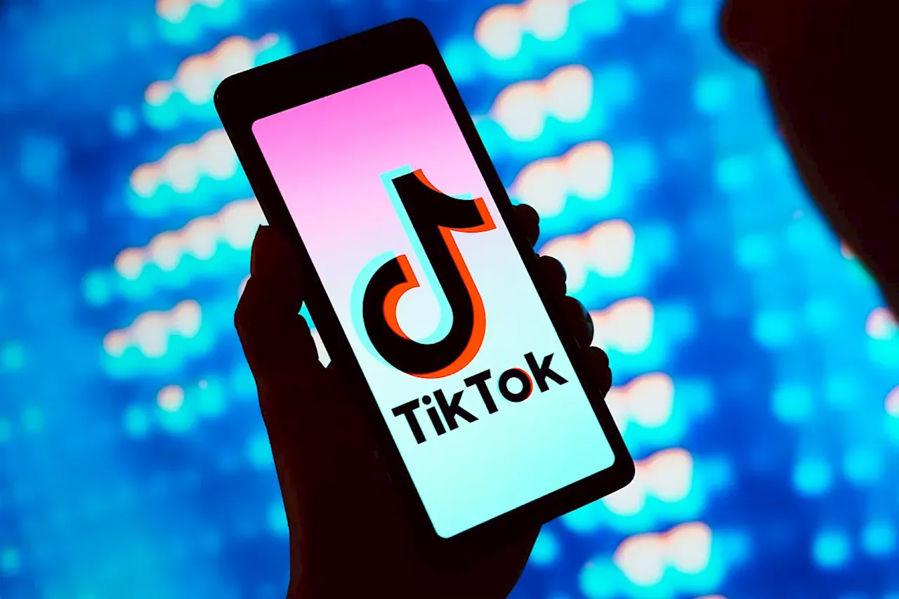 Un tribunal de apelaciones de EEUU rechaza paralizar la ley que podría prohibir TikTok