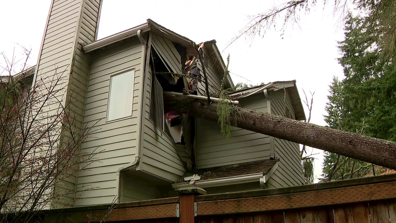 Gov. Inslee seeks more time from FEMA to assess WA bomb cyclone damage