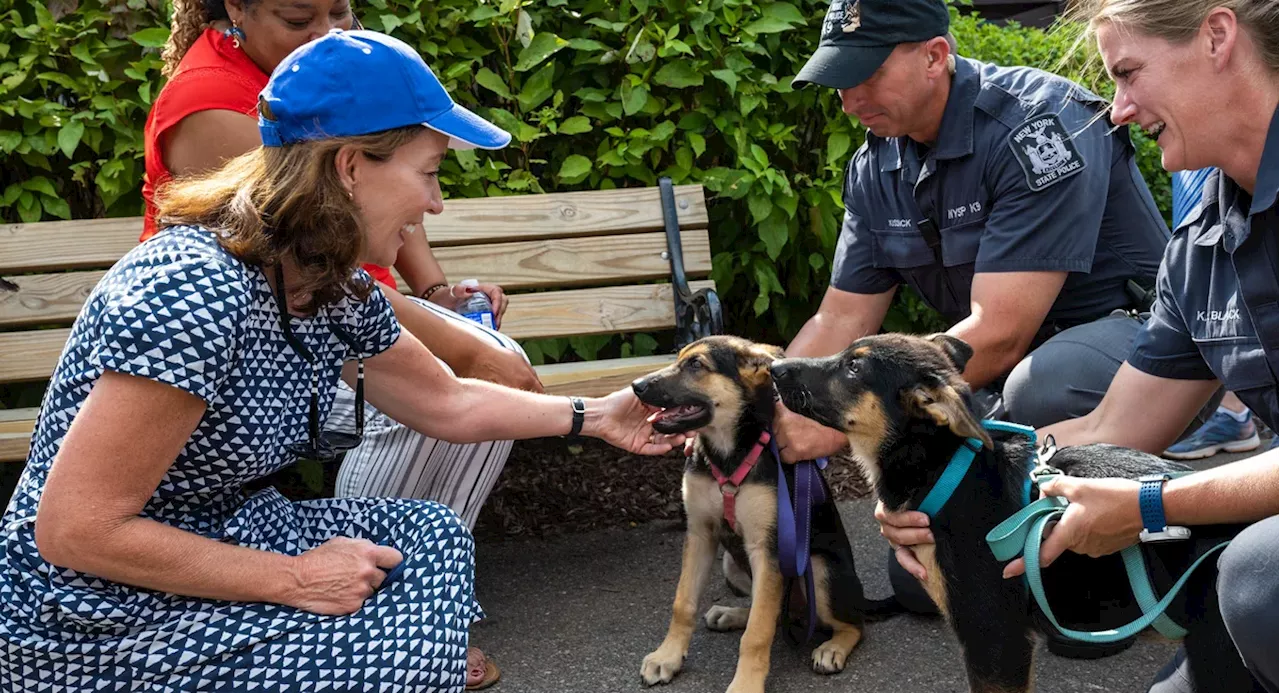 Out, damned Spot: Gov. Hochul vetoes bill to let dogs in all state parks