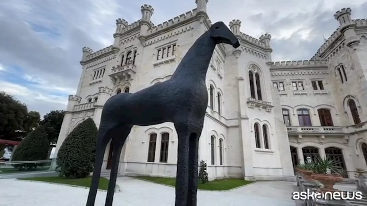 Natura e contemporaneità a Trieste: il Castello di Miramare ospita un viaggio tra arte e ambiente