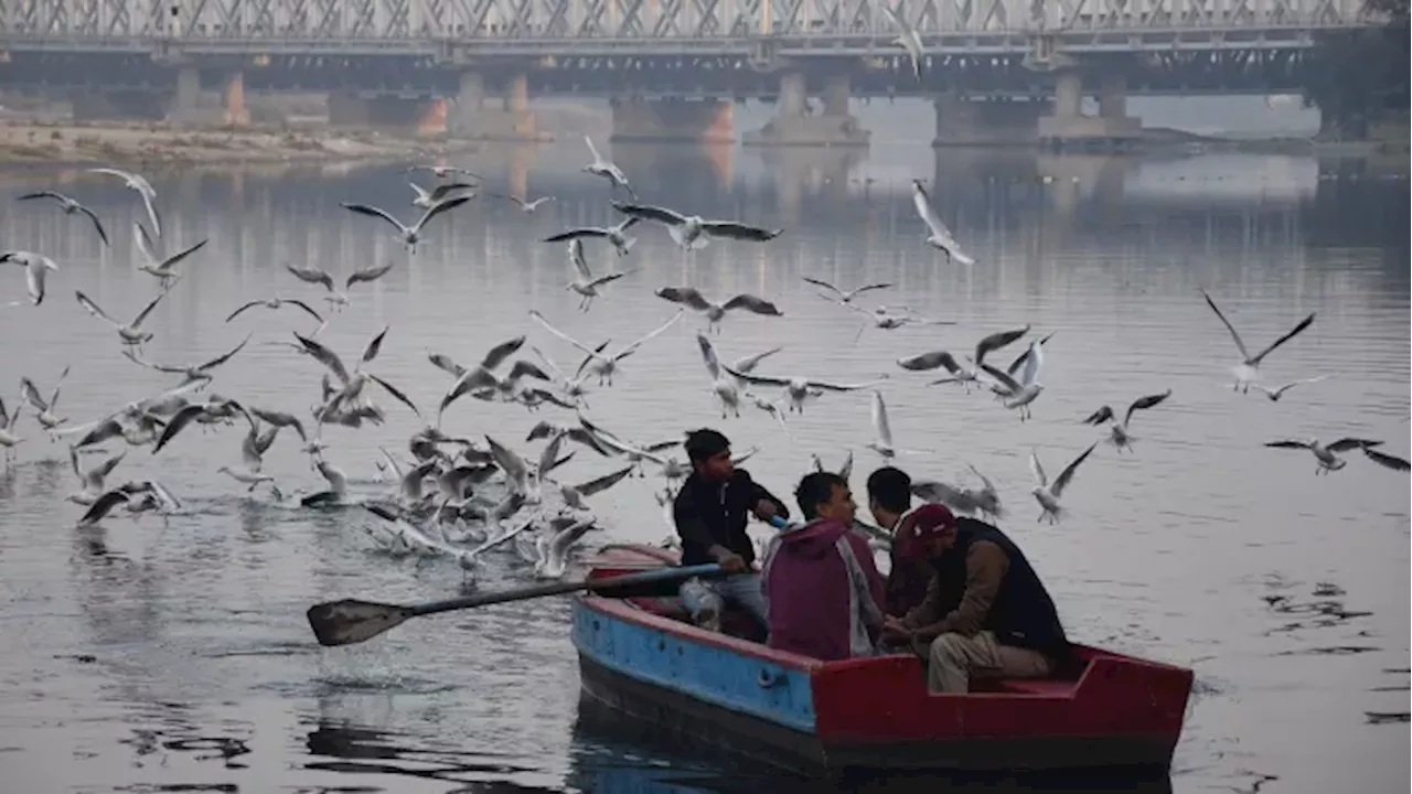 Delhi Weather: यलो अलर्ट के बावजूद दिल्लीवासियों को मिली ठंड से राहत, शनिवार को भी आसमान रहने के आसार