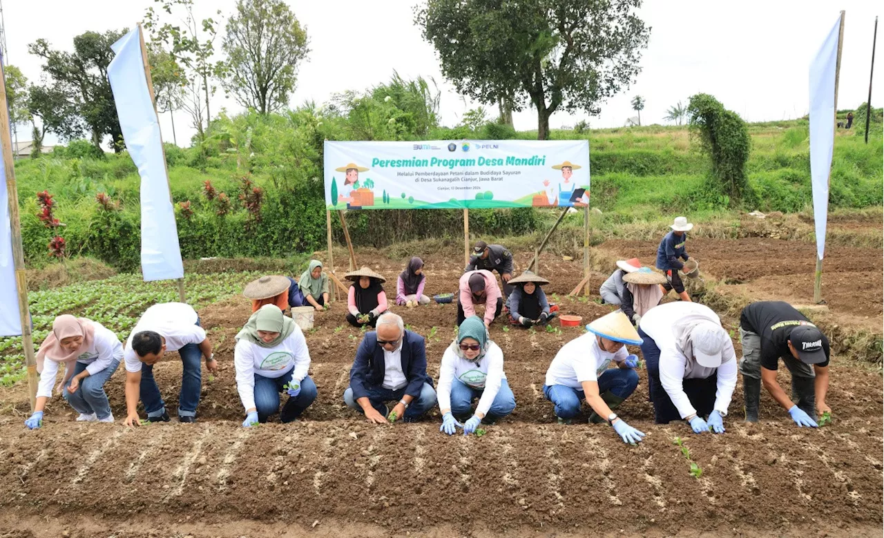 TJSL PELNI Resmikan Desa Mandiri Penghasil Sayur di Cianjur