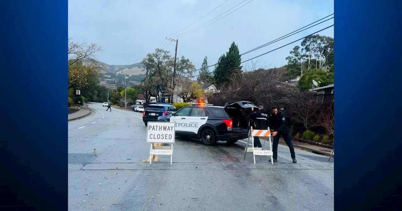 Novato experiences city-wide power outage after storm knocks down power lines, trees