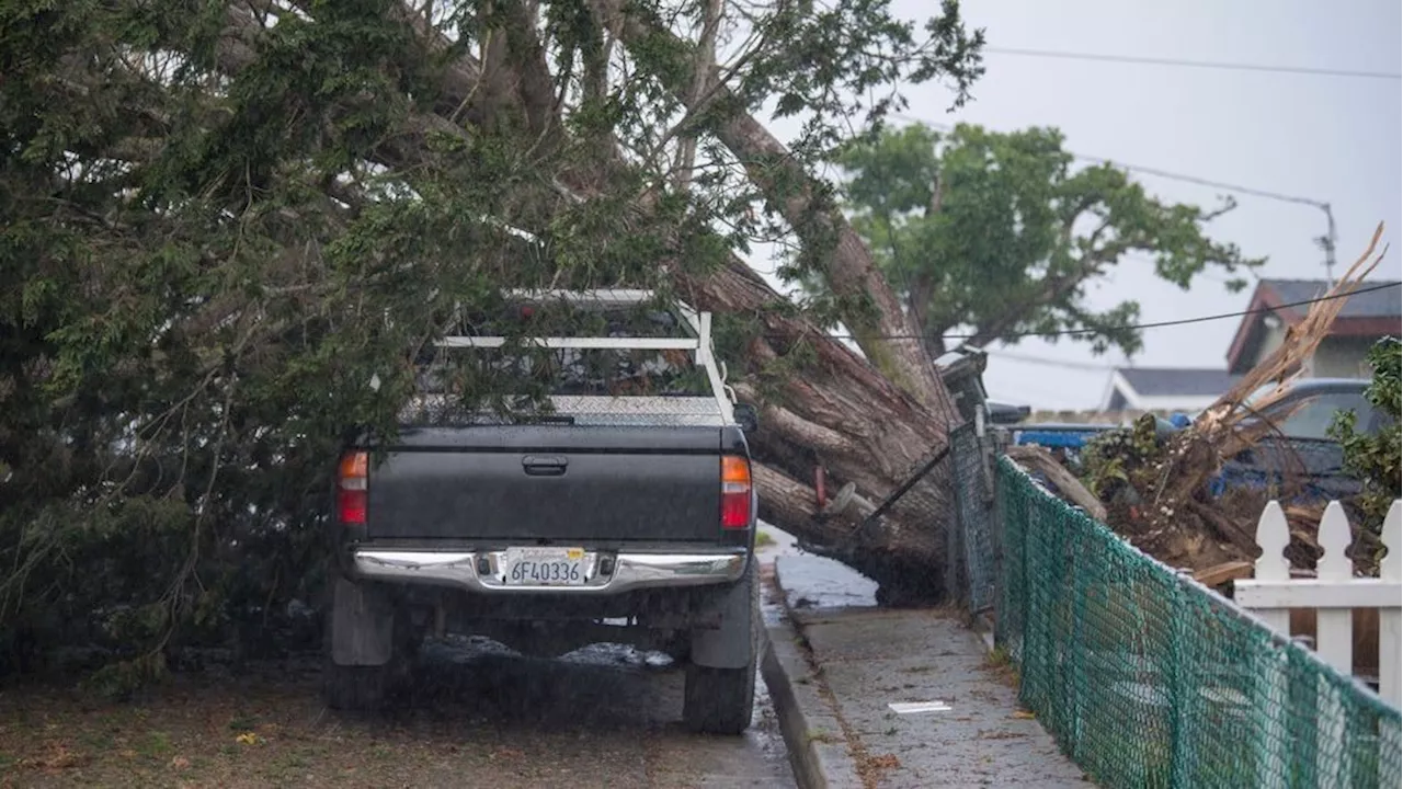 San Francisco issues first tornado warning since 2005 as unusual storm hits the city