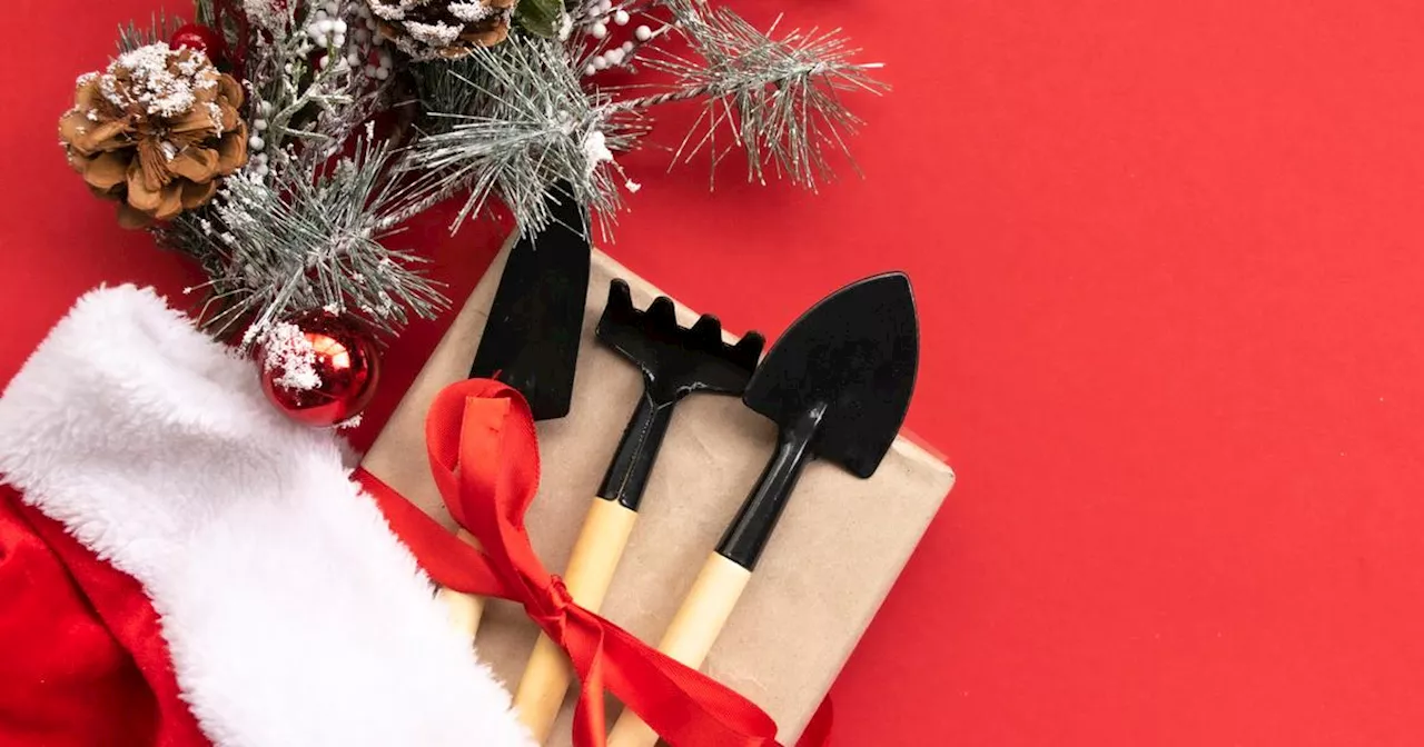 10 idées de cadeaux de Noël pour les passionnés de jardinage