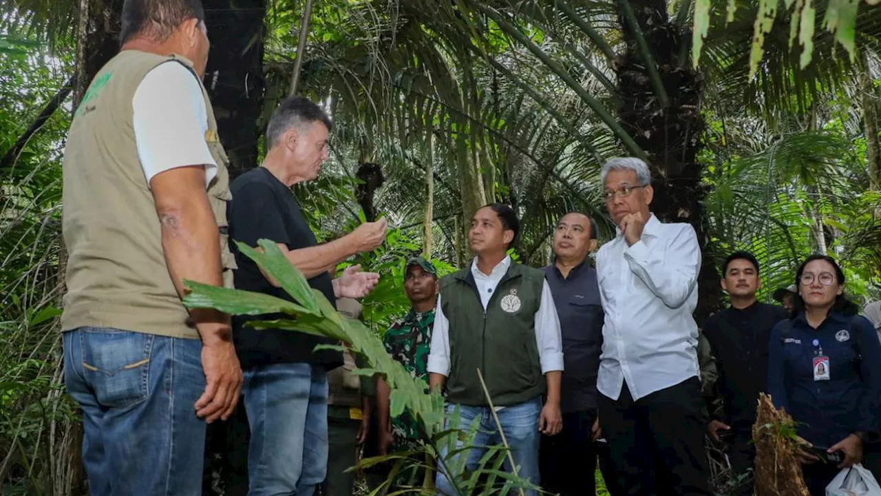 Dukung Swasembada Energi, Menhut Siapkan Kawasan Hutan untuk Bioethanol