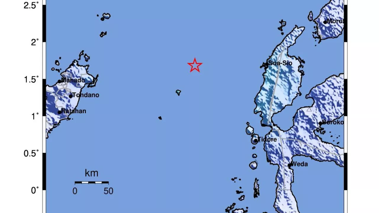 Gempa M 5,3 Guncang Halmahera Maluku Utara, Tidak Berpotensi Tsunami