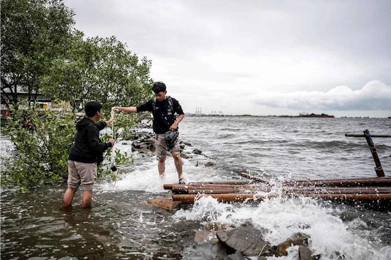 Prakiraan Cuaca Minggu, 15 Desember 2024 Waspada 4 Wilayah Berpotensi Banjir Rob