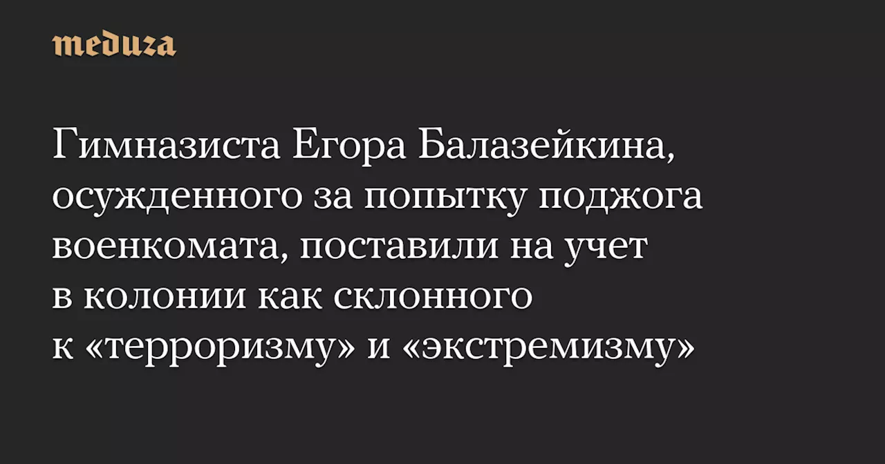 Гимназиста Егора Балазейкина, осужденного за попытку поджога военкомата, поставили на учет в колонии как склонного к «терроризму» и «экстремизму»