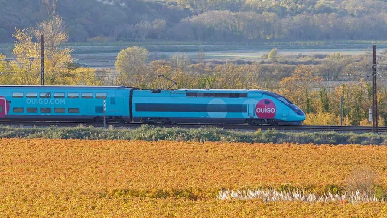 Ligne TGV Montpellier-Perpignan : 'enfin les lignes politiques semblent bouger' se félicite l’Observatoire du